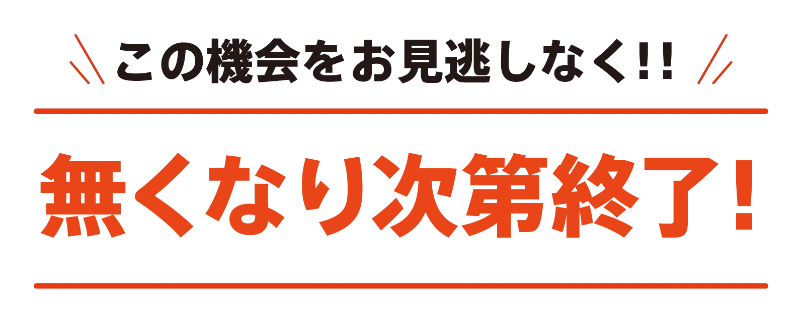 無くなり次第終了!この機会をお見逃しなく!!
