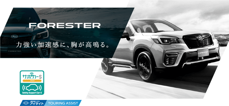 FORESTER