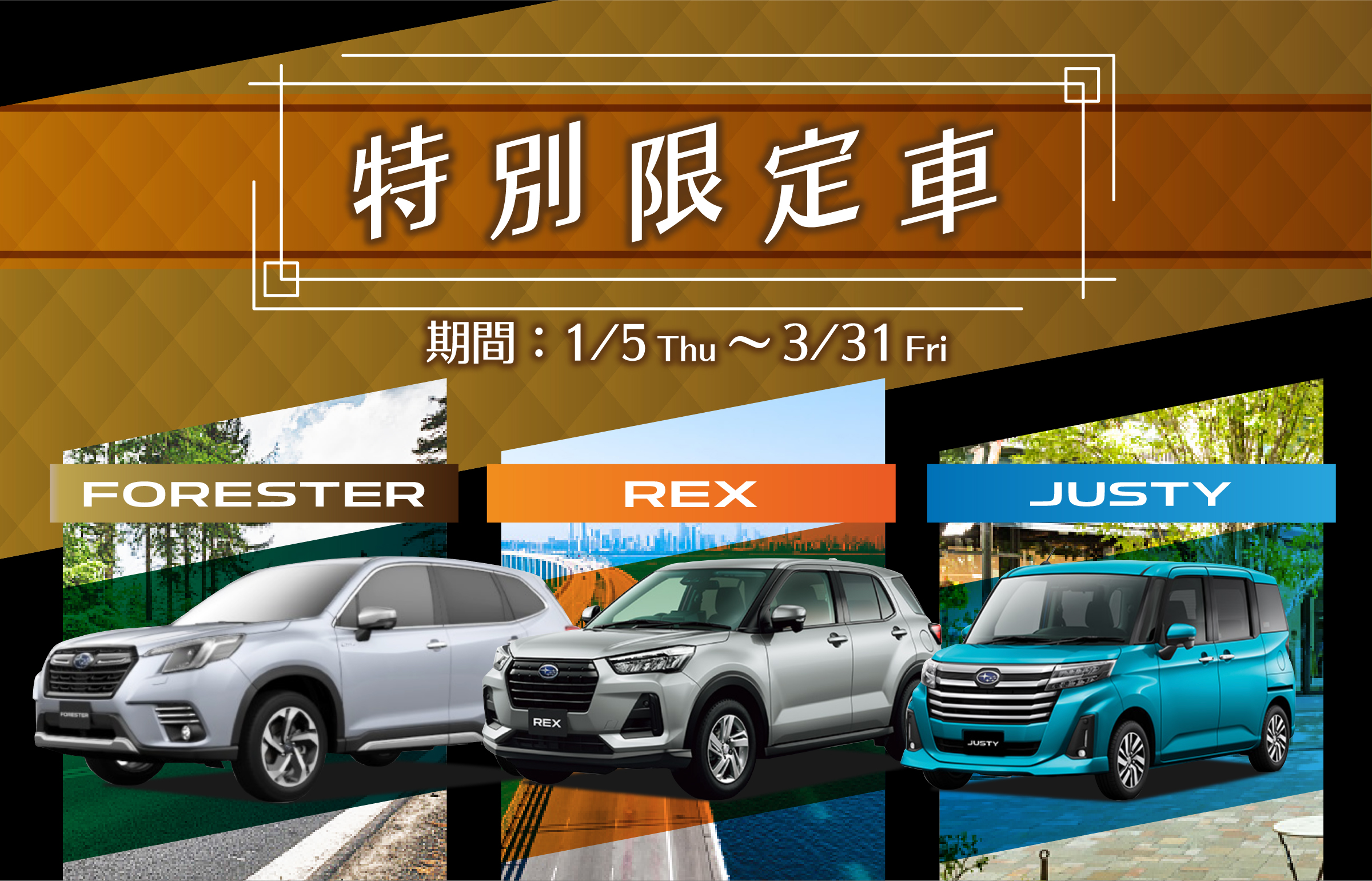 特別限定車 期間:1/5 Thu ~3/31 Fri
