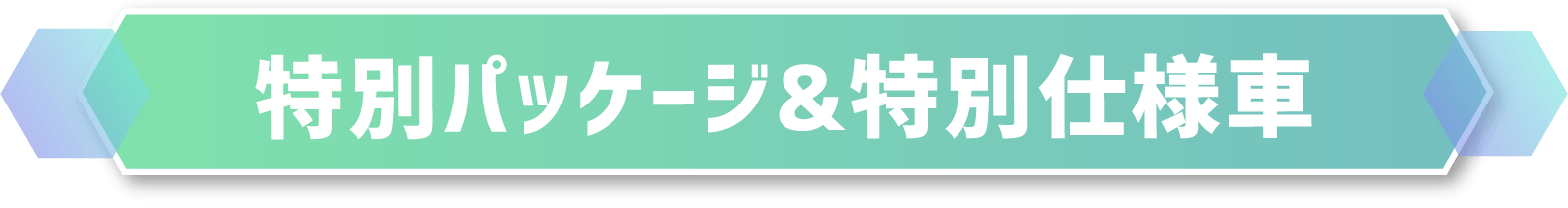 特別パッケージ