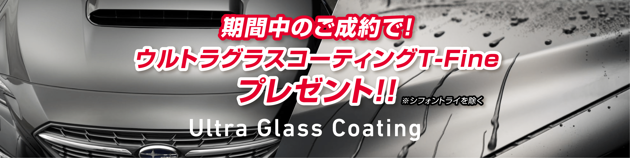 ウルトラグラスコーティングT-Fineプレゼント