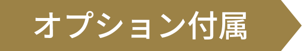 オプション付属